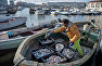 Angler fishing on the Black Sea coast in Sevastopol
