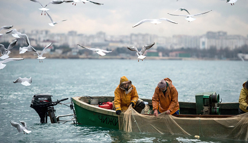 Anglers fishing on the Black Sea coast in Sevastopol