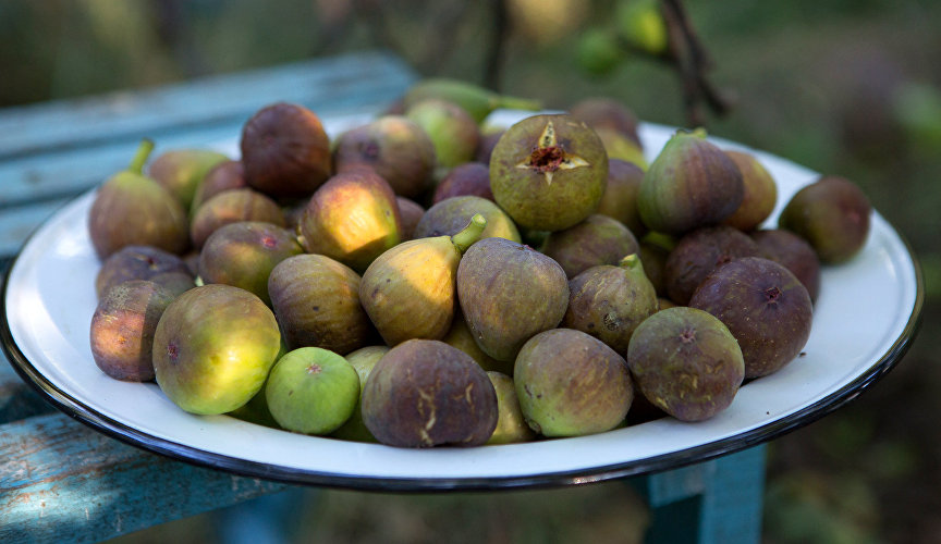 In early August, the fig-picking season kicks off on Crimea’s southern coast