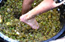 Famous sparkling and dry wines are made in the east and west of Crimea
