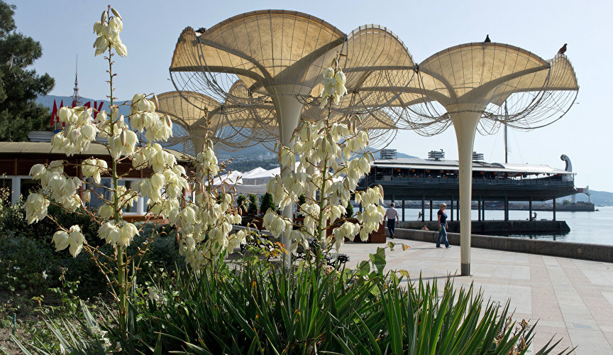 The composition of umbrellas is located on the seaside since the 1960s