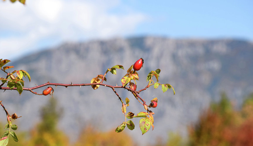 Autumn in Crimea