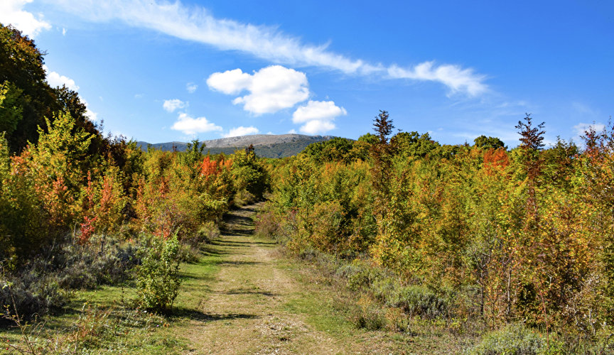 Autumn in Crimea