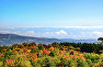 Autumn in Crimea